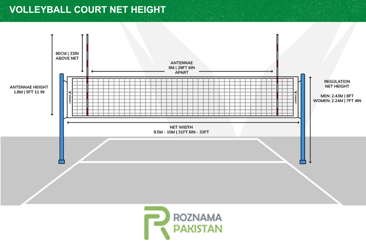 How Tall Is a Volleyball Net